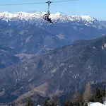 Queen Alpine *