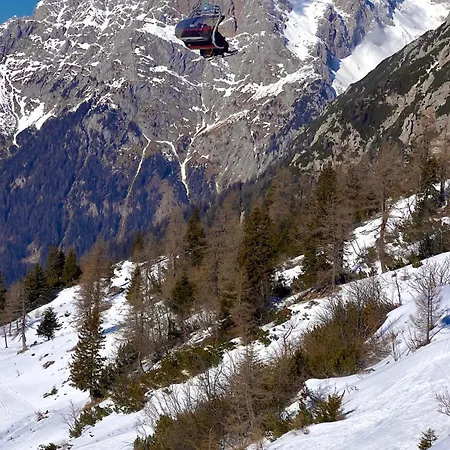 Queen Alpine Cerklje na Gorenjskem