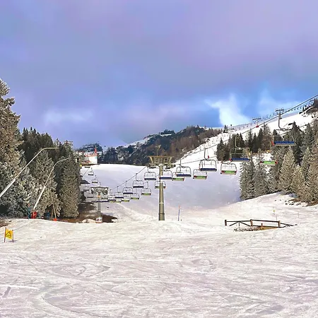 Daire Queen Alpine *