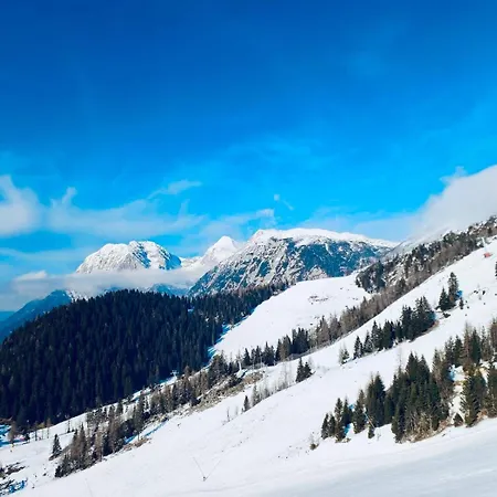 Queen Alpine