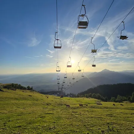 Queen Alpine * Cerklje na Gorenjskem
